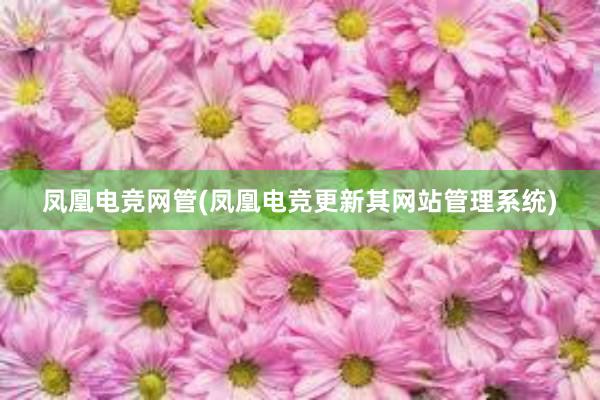 凤凰电竞网管(凤凰电竞更新其网站管理系统)