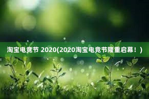 淘宝电竞节 2020(2020淘宝电竞节隆重启幕！)